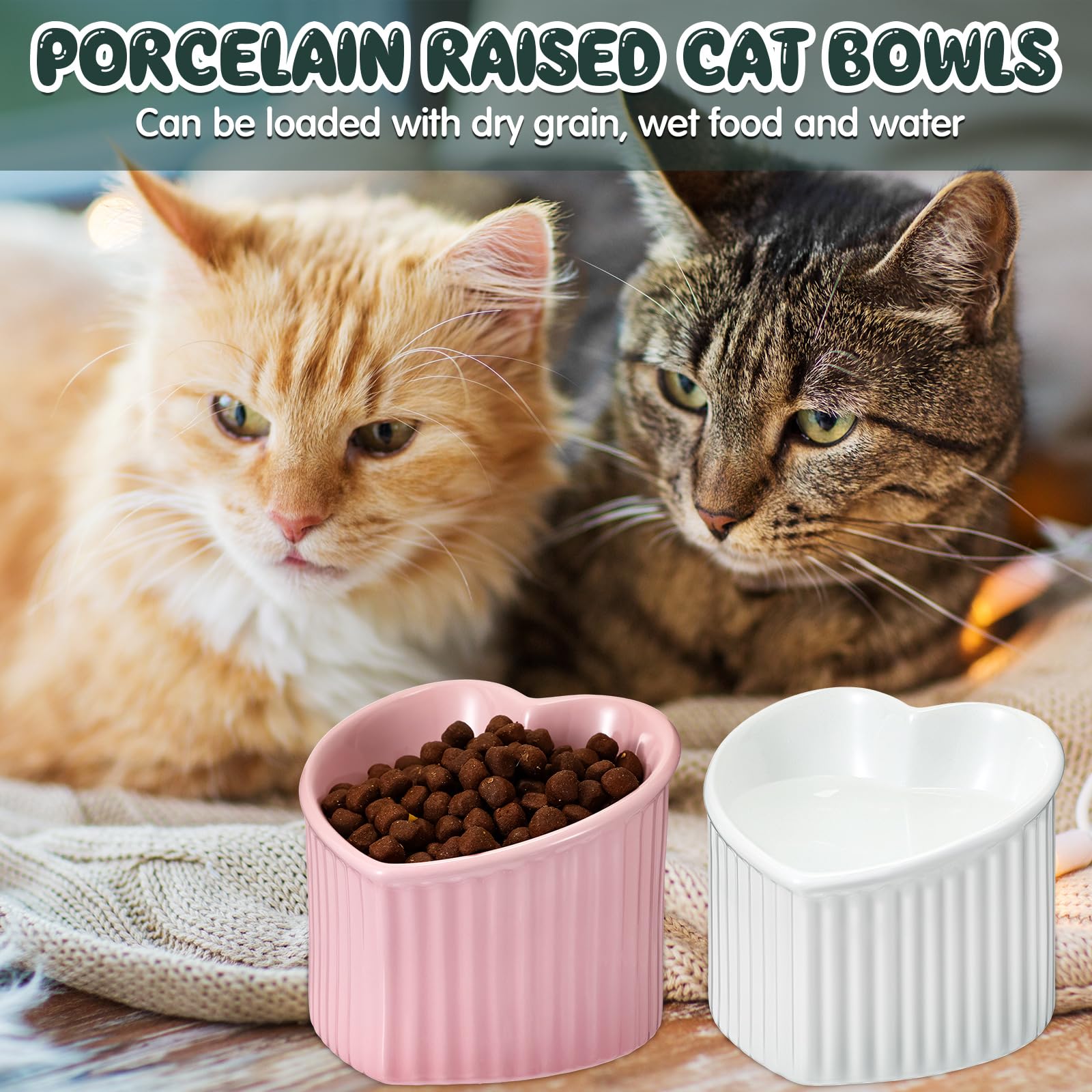 Dandat 4-Piece Ceramic Elevated Cat Bowls - Raised Shallow Pet Food & Water Dishes for Kittens - Helps Reduce Digestion Issues & Vomiting - Stress-Free Feeding for Indoor Cats - Perfect for Small Spaces & Sensitive Stomachs