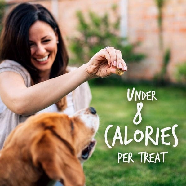 Fruitables Baked Pumpkin & Apple Dog Treats - Healthy Natural Snacks for Small & Large Dogs - Perfect for Training Rewards & Daily Treats