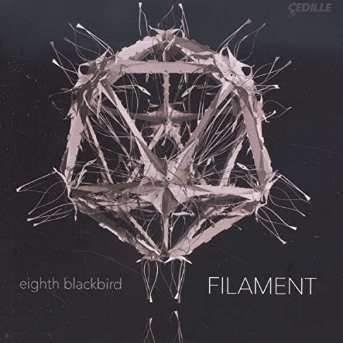 Premium Filament for 3D Printing - High-Quality PLA & ABS Filament by Eighth Blackbird | Perfect for DIY Projects, Prototyping & Home 3D Printing