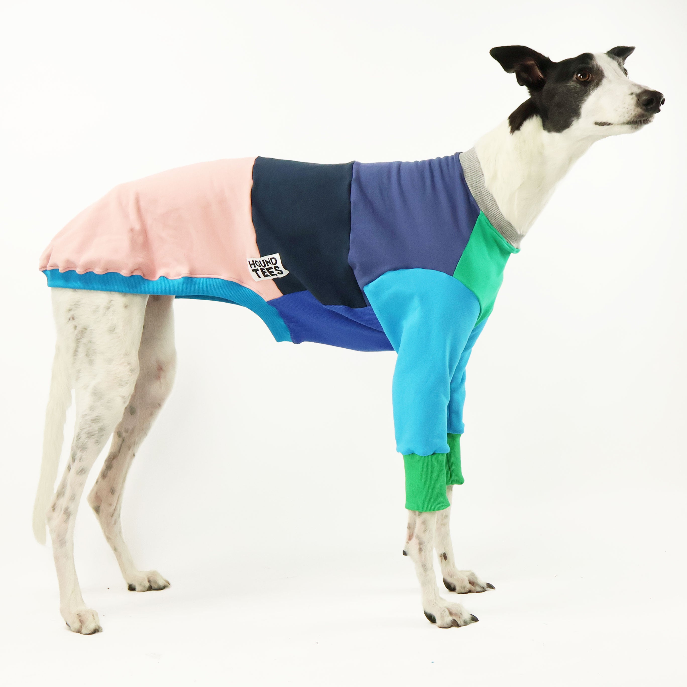 Frankie Jester Greyhound Dog Sweater - Cozy Knit Winter Apparel for Small & Medium Dogs - Perfect for Cold Weather Walks & Indoor Lounging