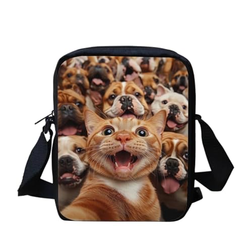 Funny Cat