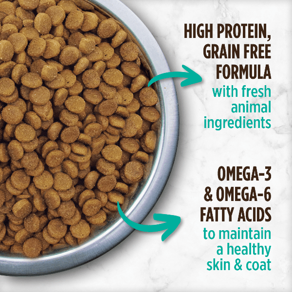Nutrience Grain Free Turkey, Chicken & Duck Indoor Formula Dry Cat Food for Adult Cats - 5kg Bag - High Protein, Hypoallergenic Recipe for Sensitive Stomachs - Perfect for Indoor Cats with Hairball Control & Weight Management