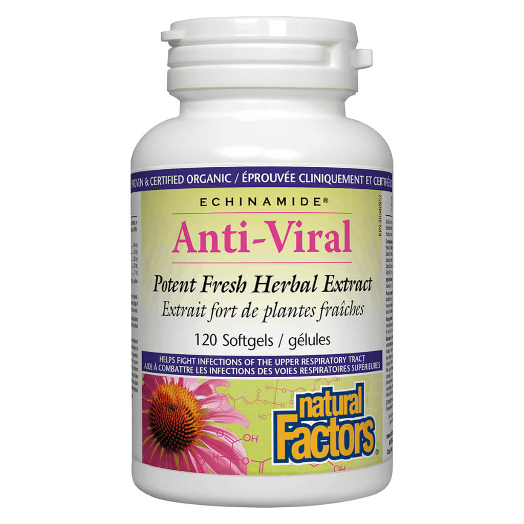 Echinamide Anti-Viral Herbal Extract - Potent Immune Support for Cold & Flu Relief - Boost Wellness Naturally