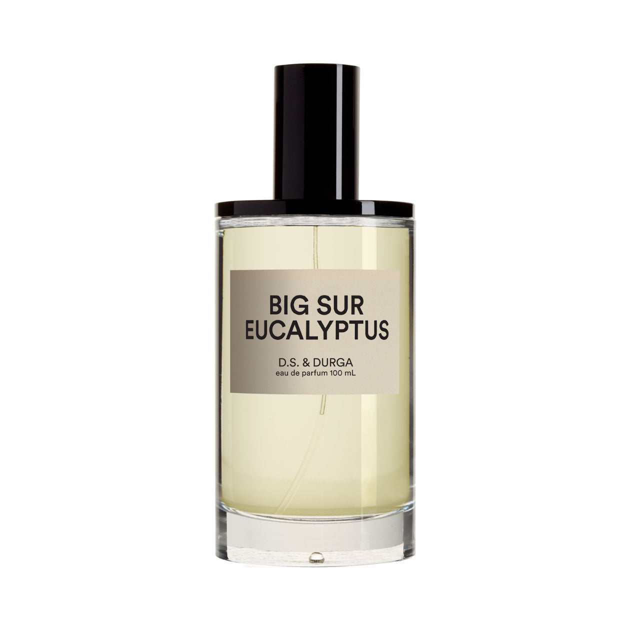 Big Sur Eucalyptus Eau de Parfum - Fresh & Woody Fragrance for Women & Men - Perfect for Daily Wear, Office & Date Nights