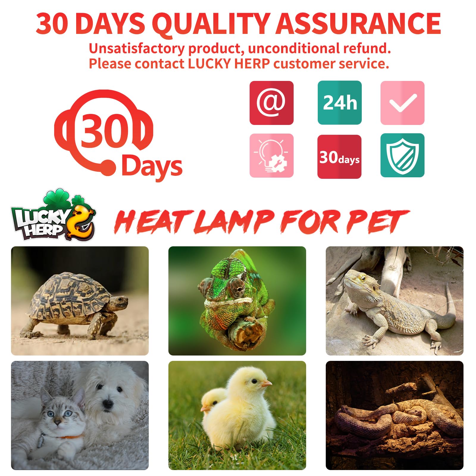 LUCKY HERP 100W Ceramic Heat Emitter Bulb - No Light Reptile Heat Lamp for Lizards, Turtles, Amphibians & Chicken Coops (1 Pack) | Ideal for Terrariums, Brooders & Pet Habitats
