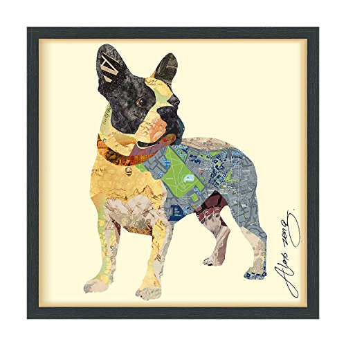 Boston Terrier 1