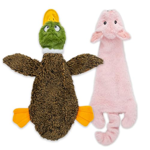Multicolor/Pig & Wild Duck