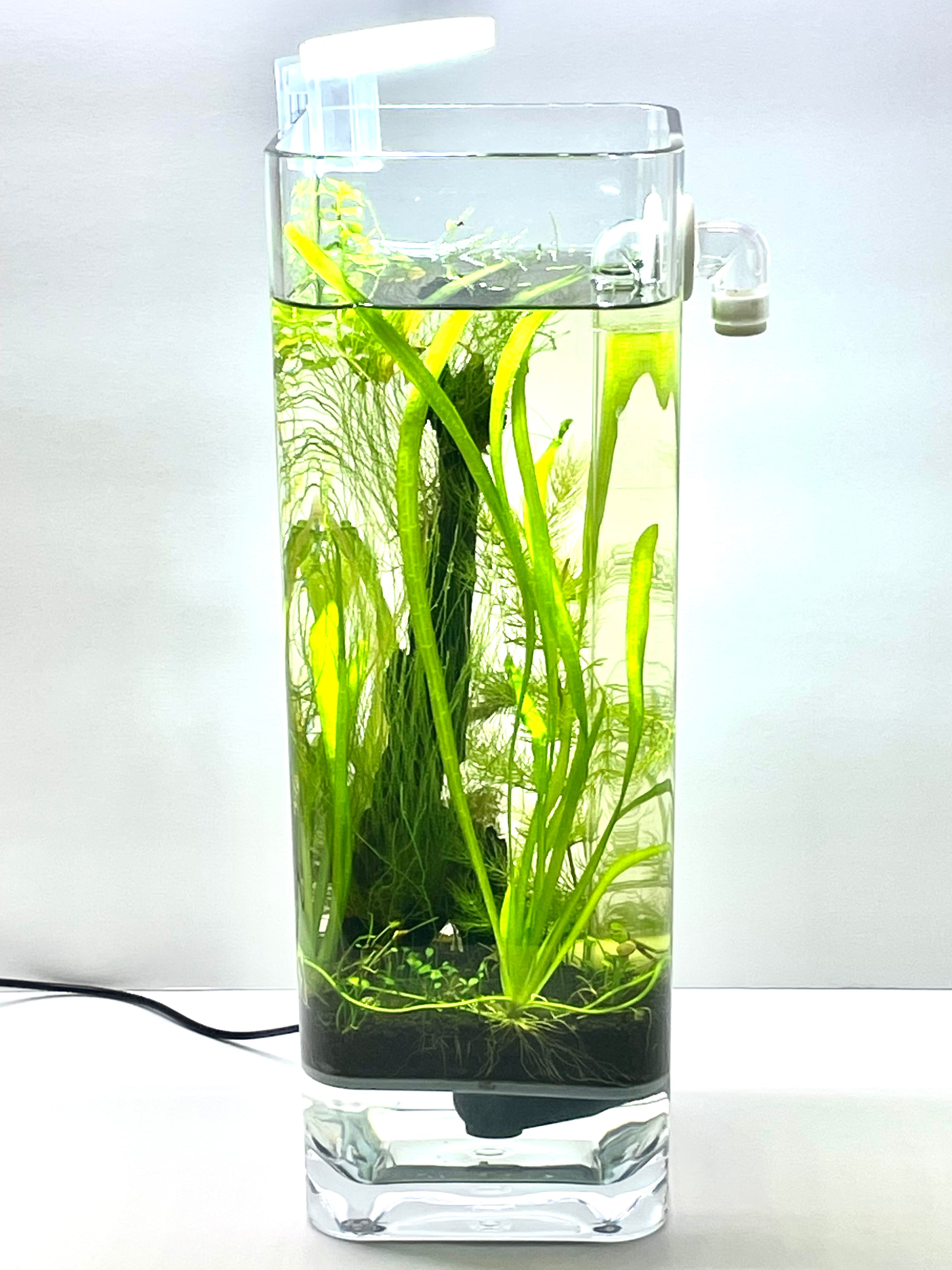 Premium Fine Grill, Aquarium Soil & Plant Anchors Kit - Ideal for 1 Gallon Fish Tank | Perfect for Small Aquascaping, Nano Tanks & Betta Fish Habitats