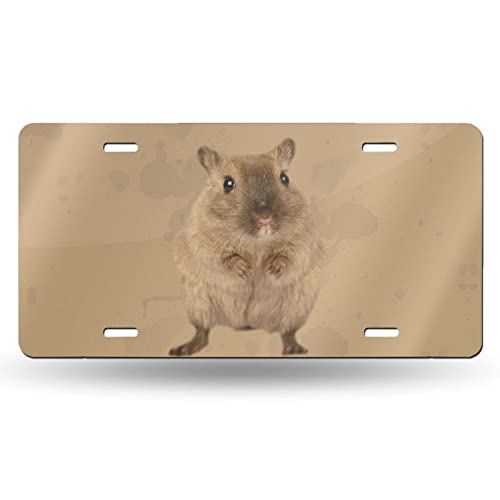 Cute Hamster