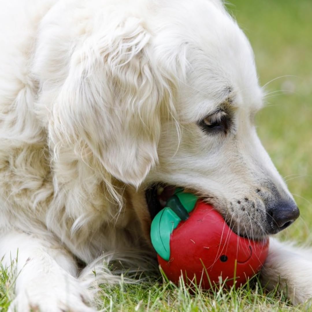 Durable Latex Tomato Soft Chew Dog Toy for Small Dogs - Perfect for Teething Puppies & Playtime Fun