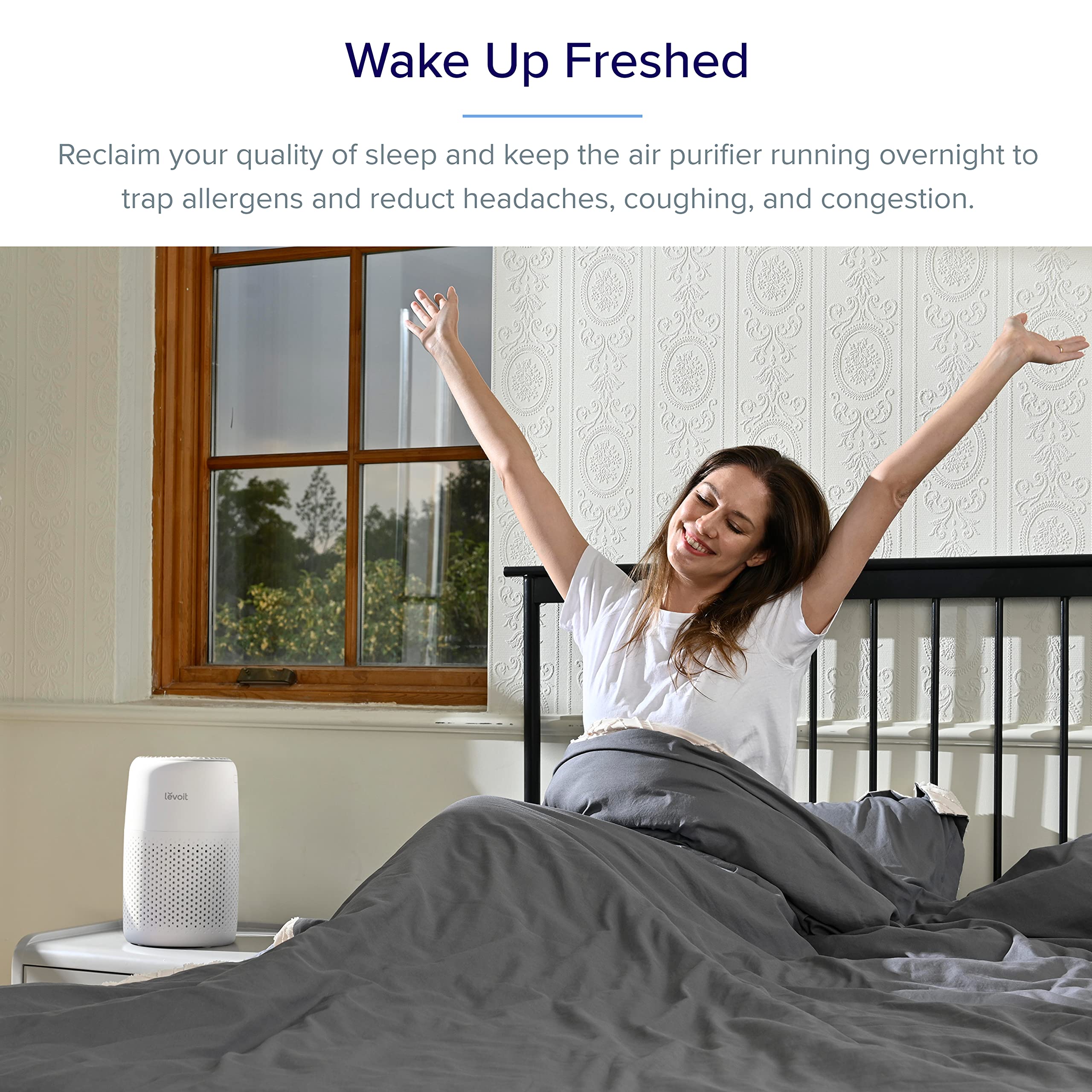 LEVOIT HEPA Air Purifier for Home, Large Room & Bedroom - Grey & White | Quiet Air Cleaner with True HEPA Filter | Perfect for Allergies, Pet Dander, Dust, Smoke Removal (Living Room, Nursery, Office Use)