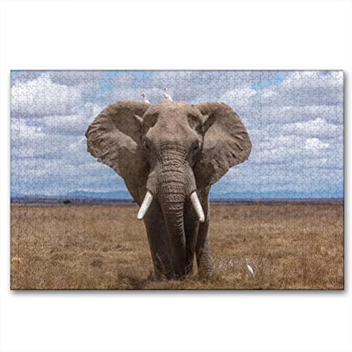 Elephant-wupt5782