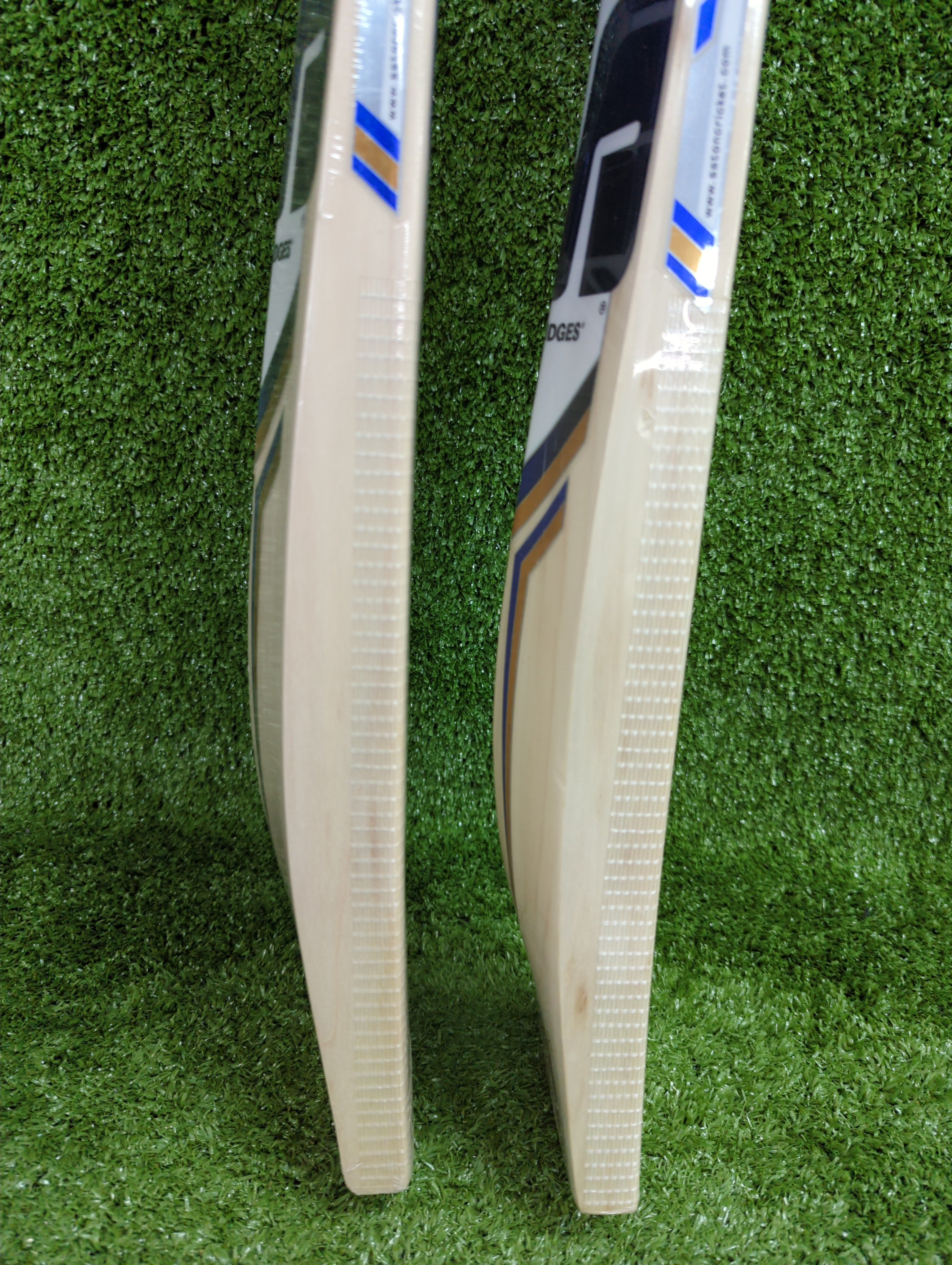 SS Sky Players Colt Junior/Youth English Willow Cricket Bat - Lightweight & Durable for Kids & Teens - Perfect for Practice, Matches & Training Sessions