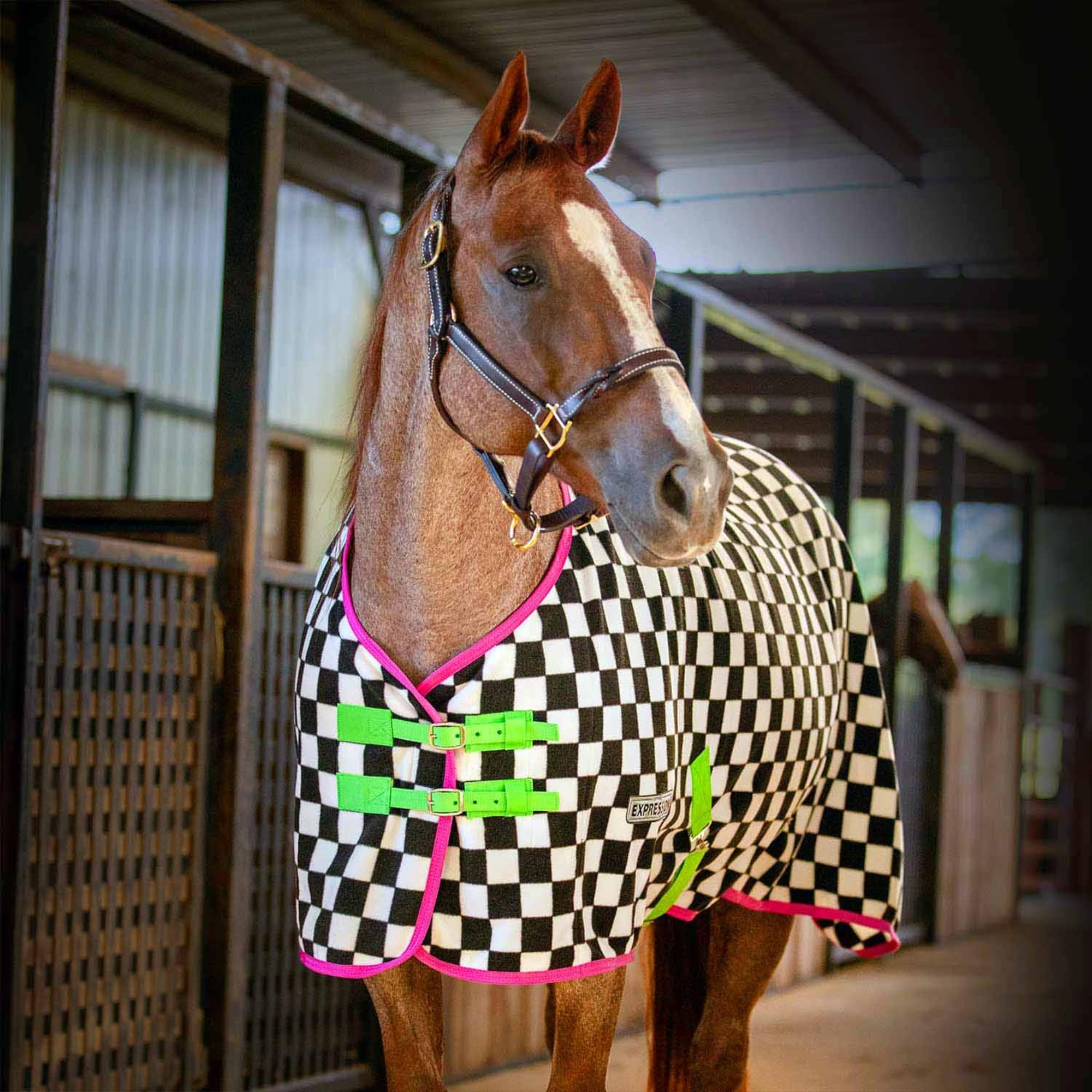 Jeffers Expression Fleece Cooler for Horses - Standard Neck, Skater Cowgirl 84