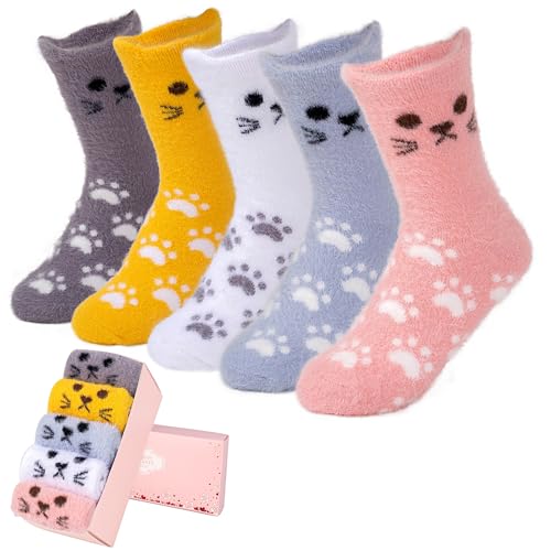 Dm-kt-cat-jym