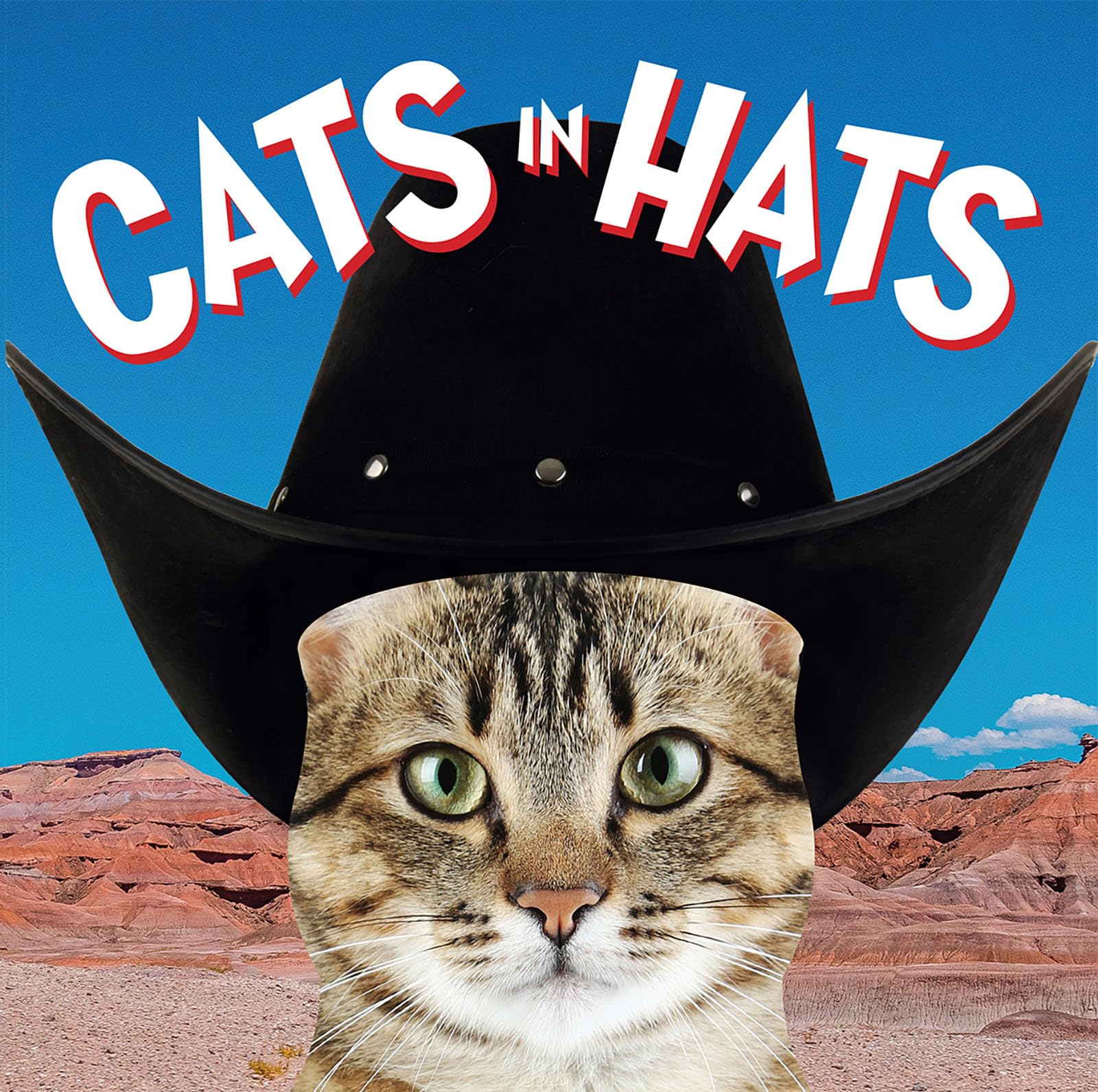 Funny Cat Hats - Cute & Stylish Cat Costume Accessories for Parties, Halloween & Photo Shoots