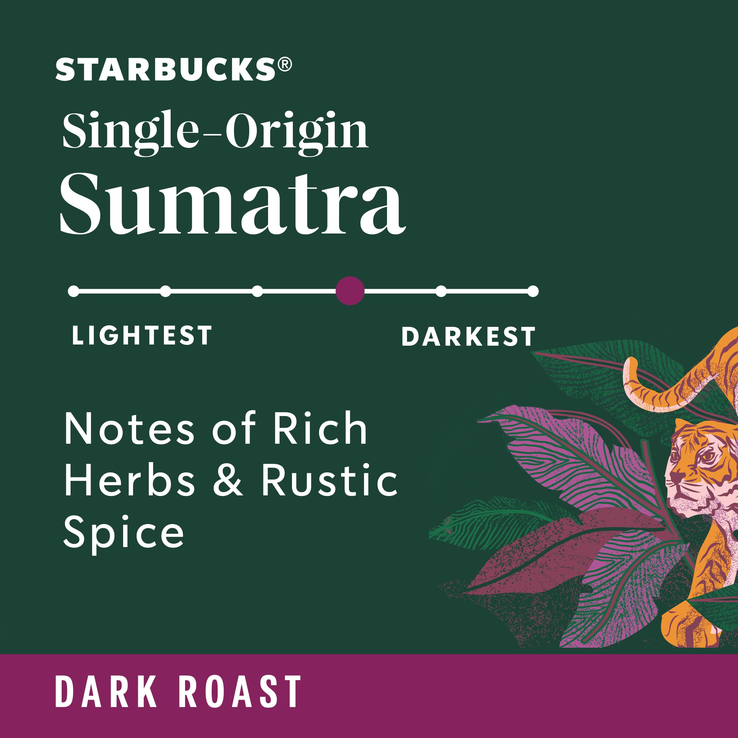Starbucks Sumatra Dark Roast Ground Coffee - 100% Arabica, 6 Pack (12 oz Each) | Premium Coffee for Home Brewing, Office Use & Gifts