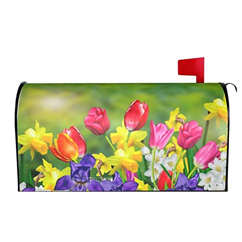 Tulip Flowers #02