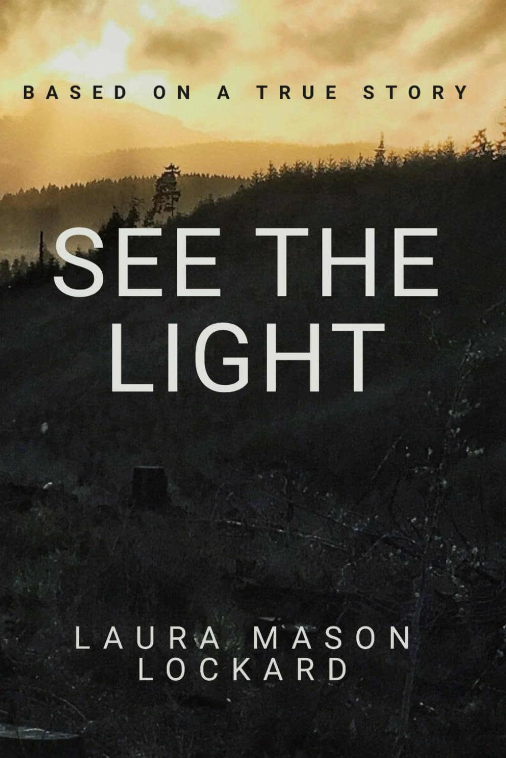 See The Light (Becoming The Light) - Inspirational Christian Book for Spiritual Growth & Enlightenment | Perfect for Bible Study, Devotional Reading & Gift Giving