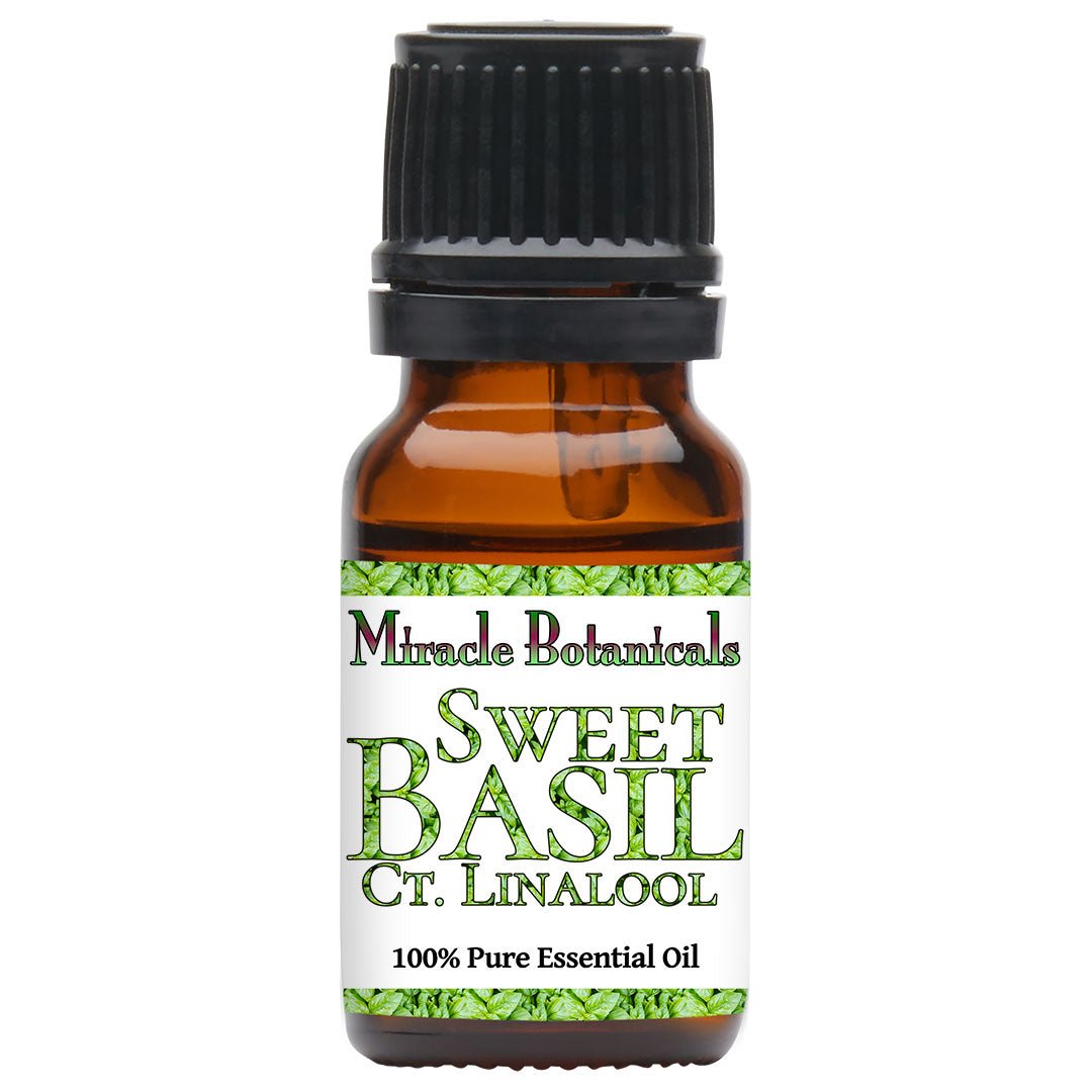 Sweet Basil Essential Oil - High in Linalool (Ocimum Basilicum) for Aromatherapy, Relaxation & Skin Care