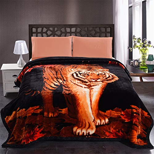 Animal Printed - Tiger