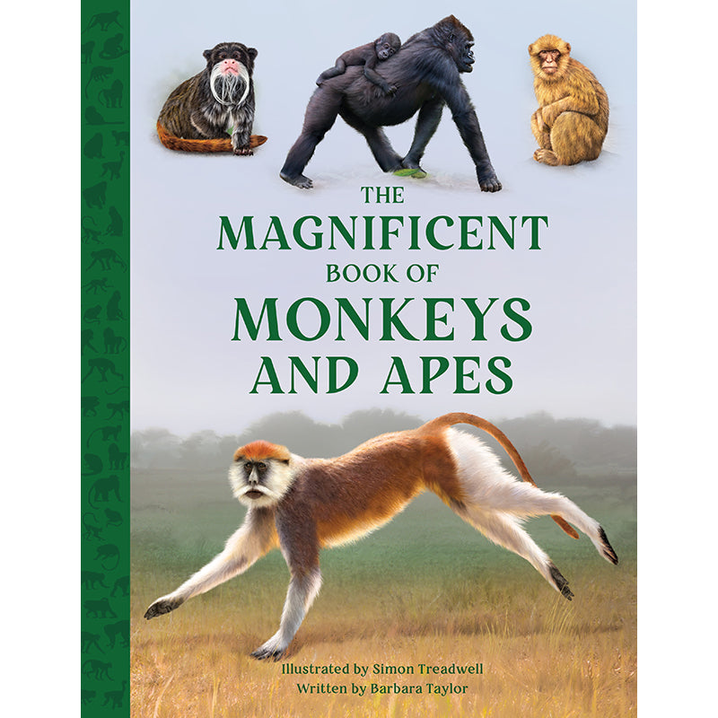 The Magnificent Book of Monkeys and Apes - Illustrated Primate Encyclopedia with Fun Facts | Perfect for Kids Learning, Animal Lovers & Classroom Education