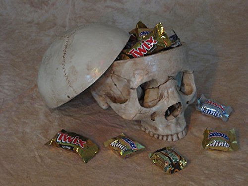 Skull Candy Dish - Premium Ceramic Candy Bowl for Halloween, Parties & Home Decor - Perfect for Candy Storage, Snacks & Treats Display