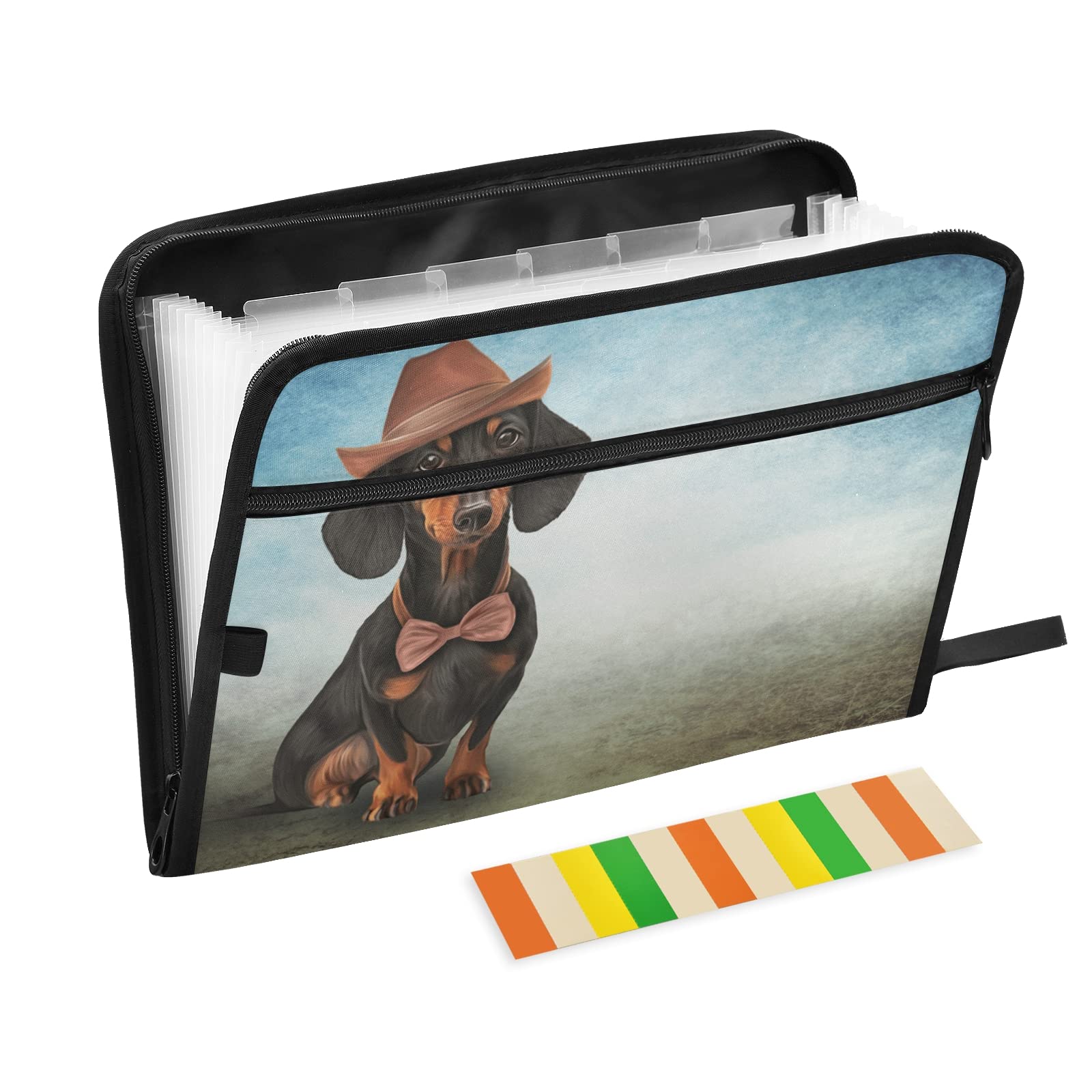 UMIRIKO 13-Pocket Expanding File Folder with Sticky Labels - A4 Letter Size Accordion Document Organizer with Zipper Closure for Office, School, and Home Organization (Cute Dog Design)