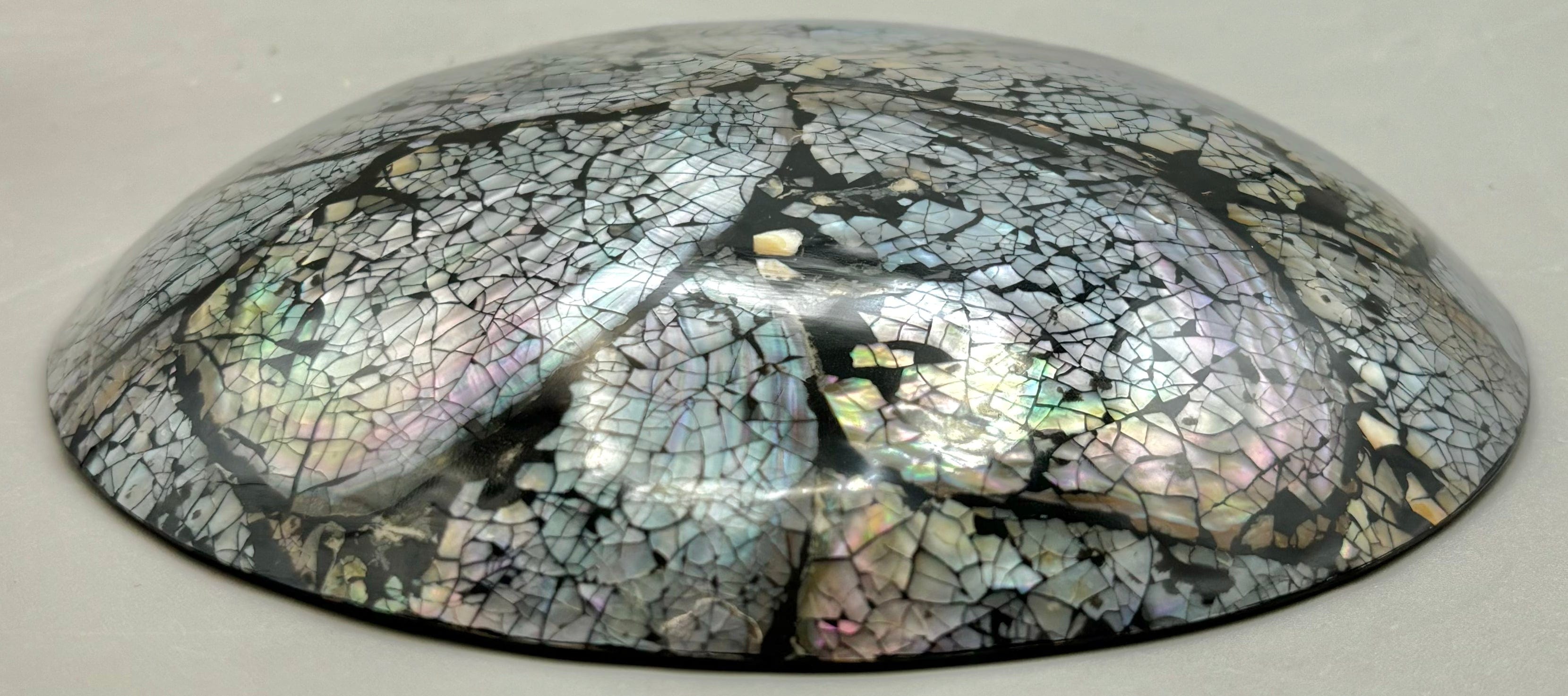 Premium Australian Abalone Shell Plate - Small Size | Eco-Friendly & Elegant Serving Dish for Seafood, Sushi, Appetizers & Home Decor