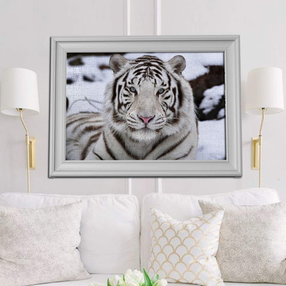 Vantaso 1000 Piece Jigsaw Puzzle for Adults & Kids - White Bengal Tiger Wildlife Puzzle - Family Game Night, Classroom Activity, Stress Relief & Home Decor
