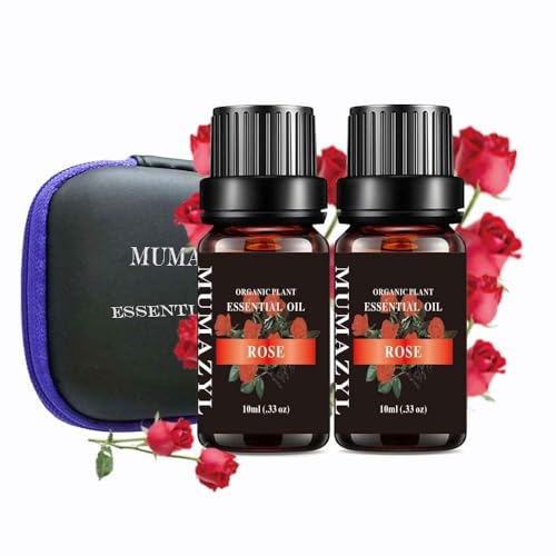 2 Pack Rose