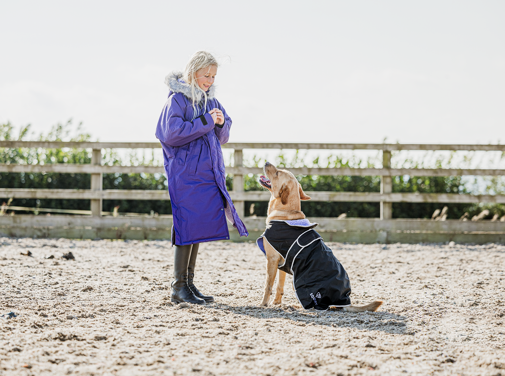 EQUIDRY Waterproof Dog Coat for Small & Large Breeds - Black & Lilac Colors - Windproof & Warm Winter Jacket for Dogs - Perfect for Rainy Days, Snowy Weather & Outdoor Adventures