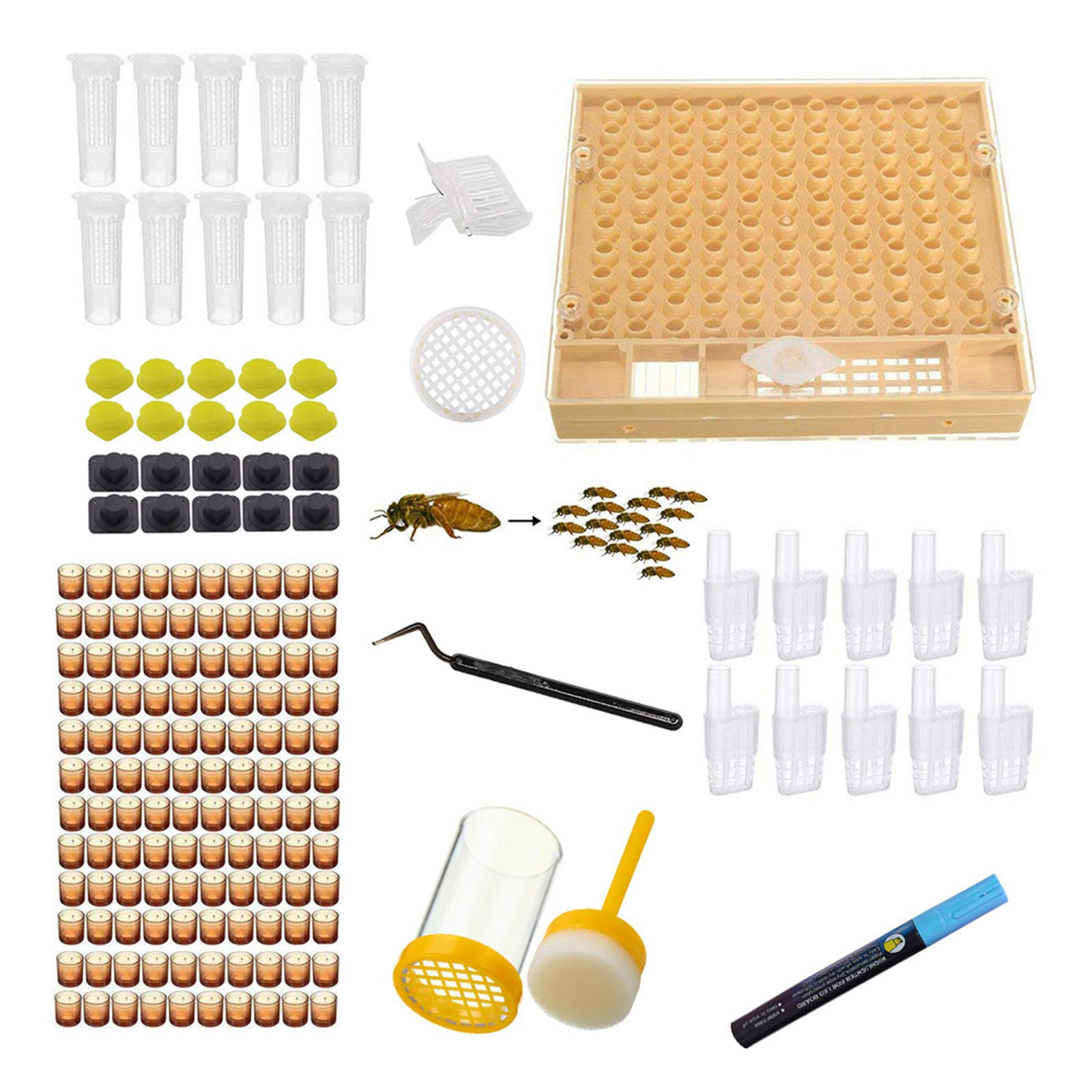 Premium Beekeeping Queen Rearing Kit - Complete Set with Cell Cups, Feeders & Essential Tools for Beekeepers | Multicolor, One Size | Ideal for Hive Management & Honey Production