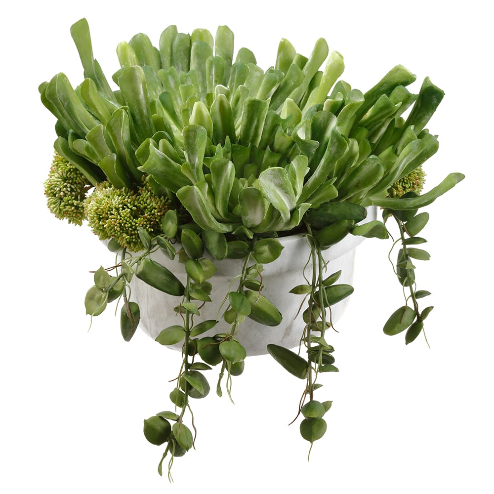 11Hx15 Artificial Echeveria & Sedum Succulent Plants in Terra Cotta Pot - Green Lifelike Fake Plants for Home Decor, Office Desk, Shelf Display and Wedding Centerpieces