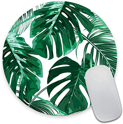 25 Green Tropical Leaves