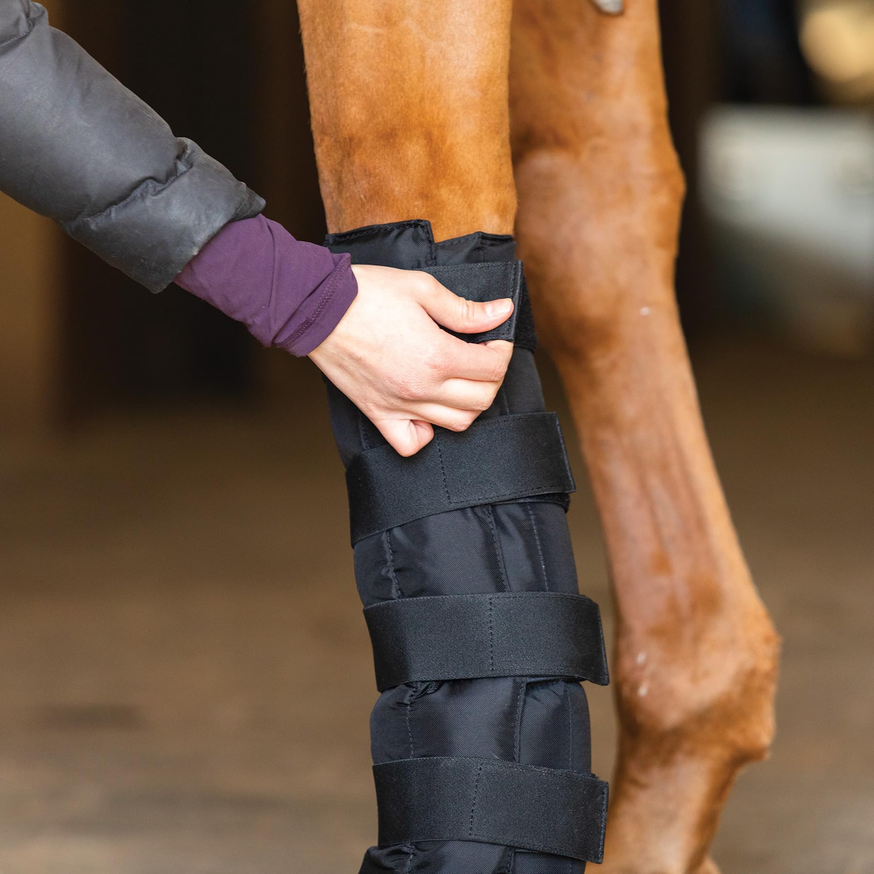 Evercool Full Size Black Horse Leg and Hoof Wrap - Cold Therapy Support for Swelling Relief & Inflammation Prevention - Ideal for Post-Workout Recovery, Injury Treatment, and Winter Protection