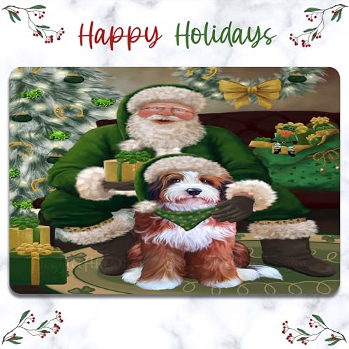 Irish Santa