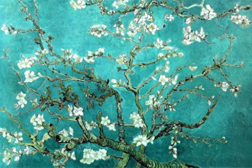 Almond Blossom Branches | 9897