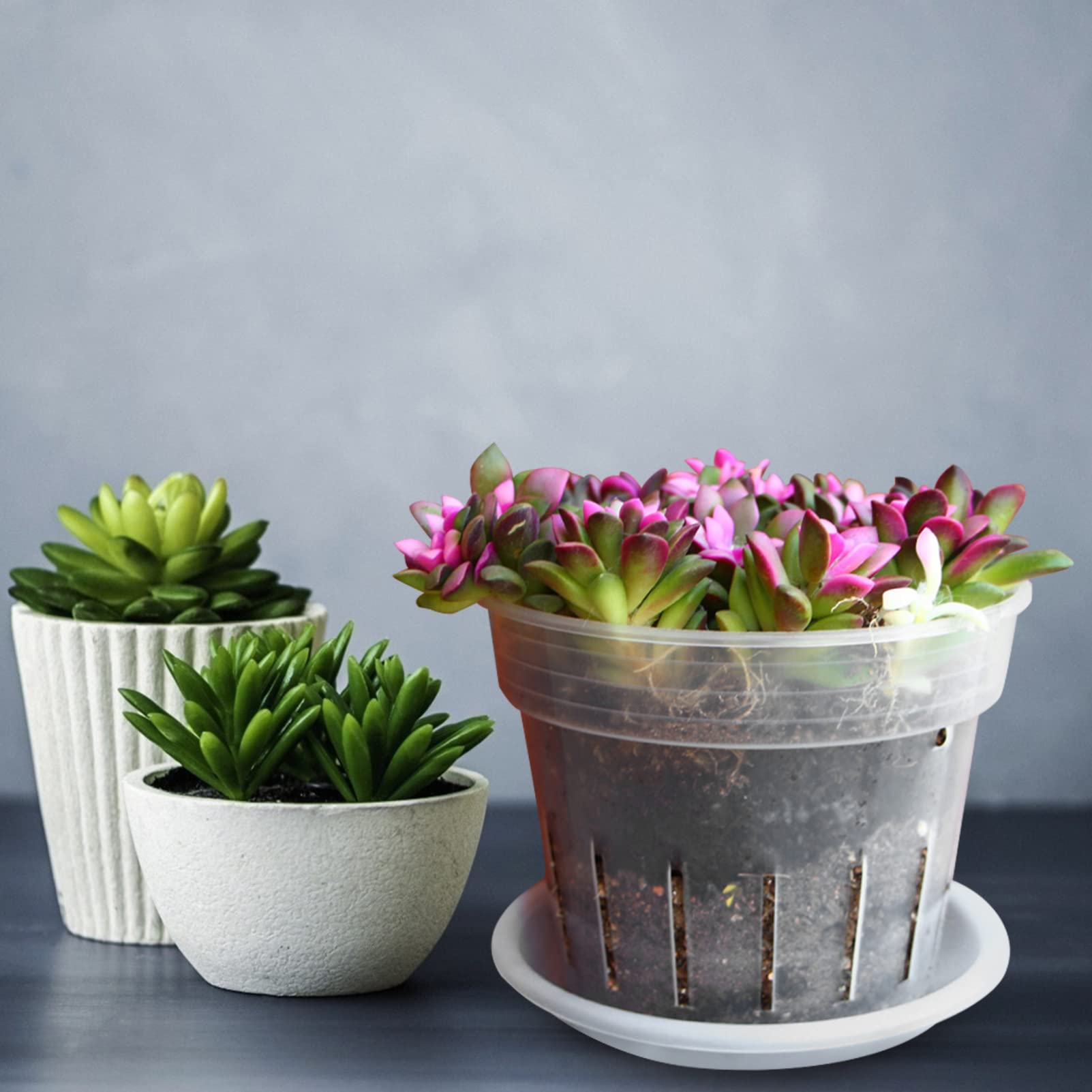 DOITOOL 4-Pack Clear Plastic Hanging Orchid Pots with Drainage Holes - Slotted Flower Planters for Indoor & Outdoor Orchids, Home Garden, and Plant Growing Starter Kit