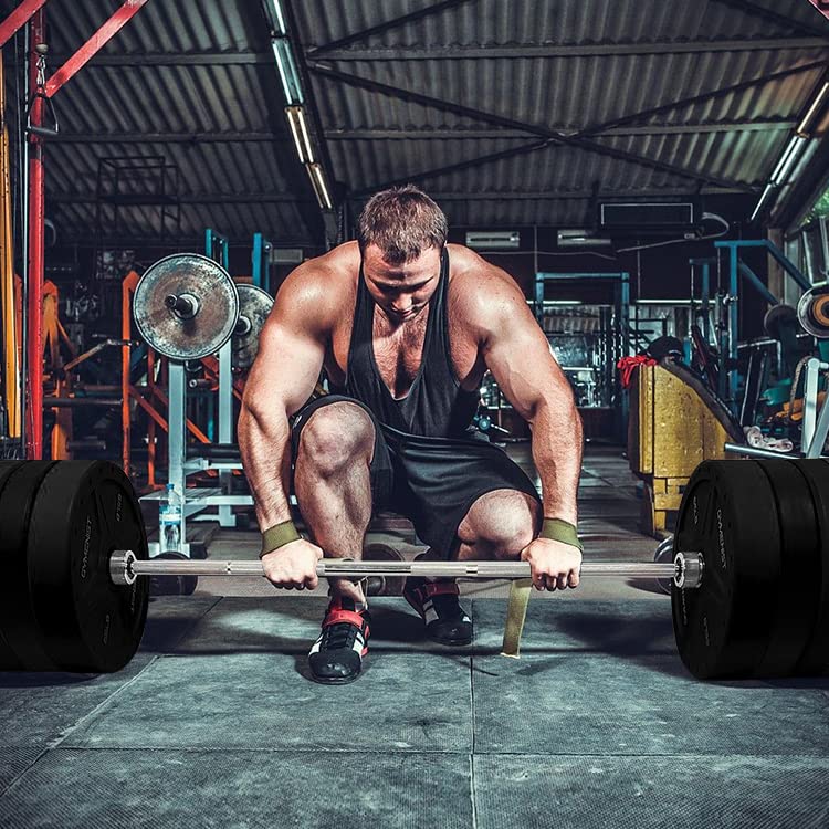 Premium GYMENIST Bumper Plates for 2