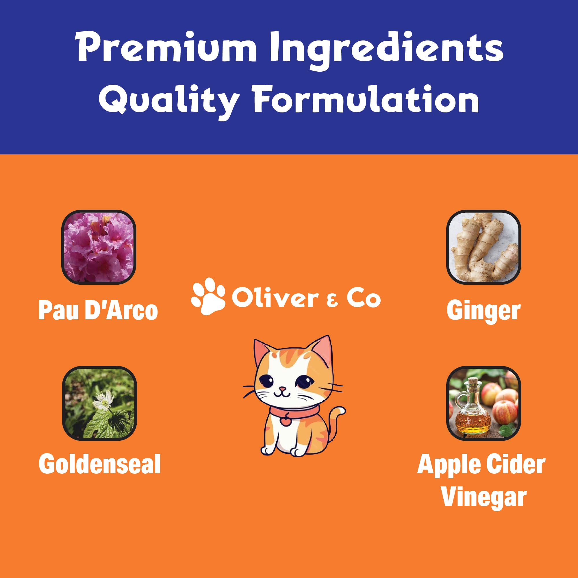 Natural Antibiotics for Cats - Immune Support & UTI Relief - Chicken Flavor (1 fl oz) - Essential Pet Supplement for Daily Health & Wellness