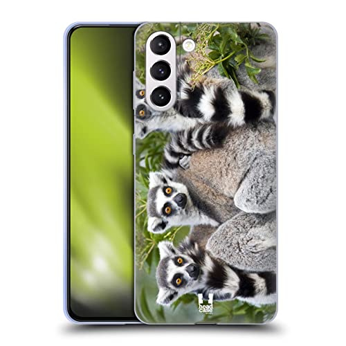 Ring Tailed Lemur