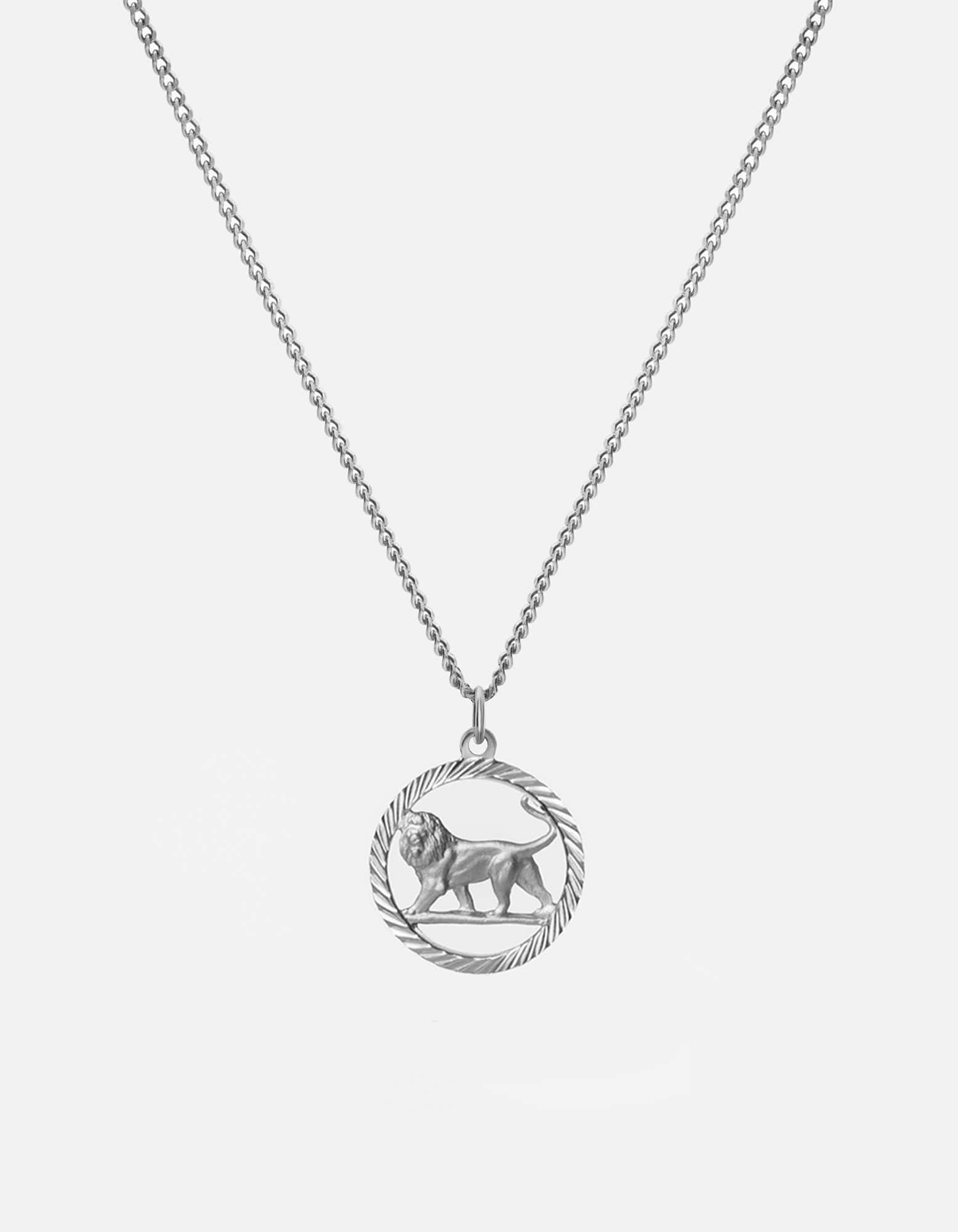 Polished Silver