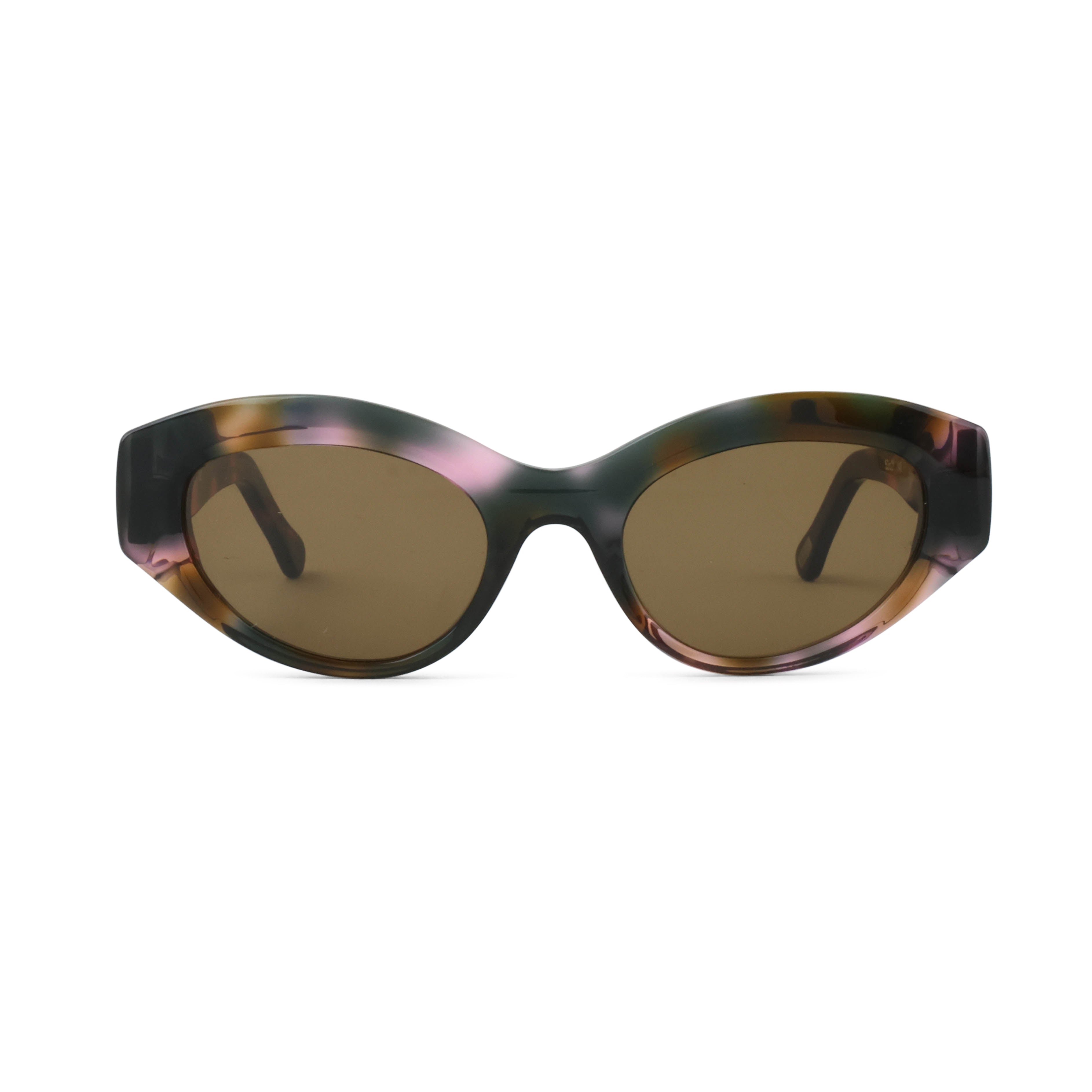 Spot Tortoise - G15 Lens