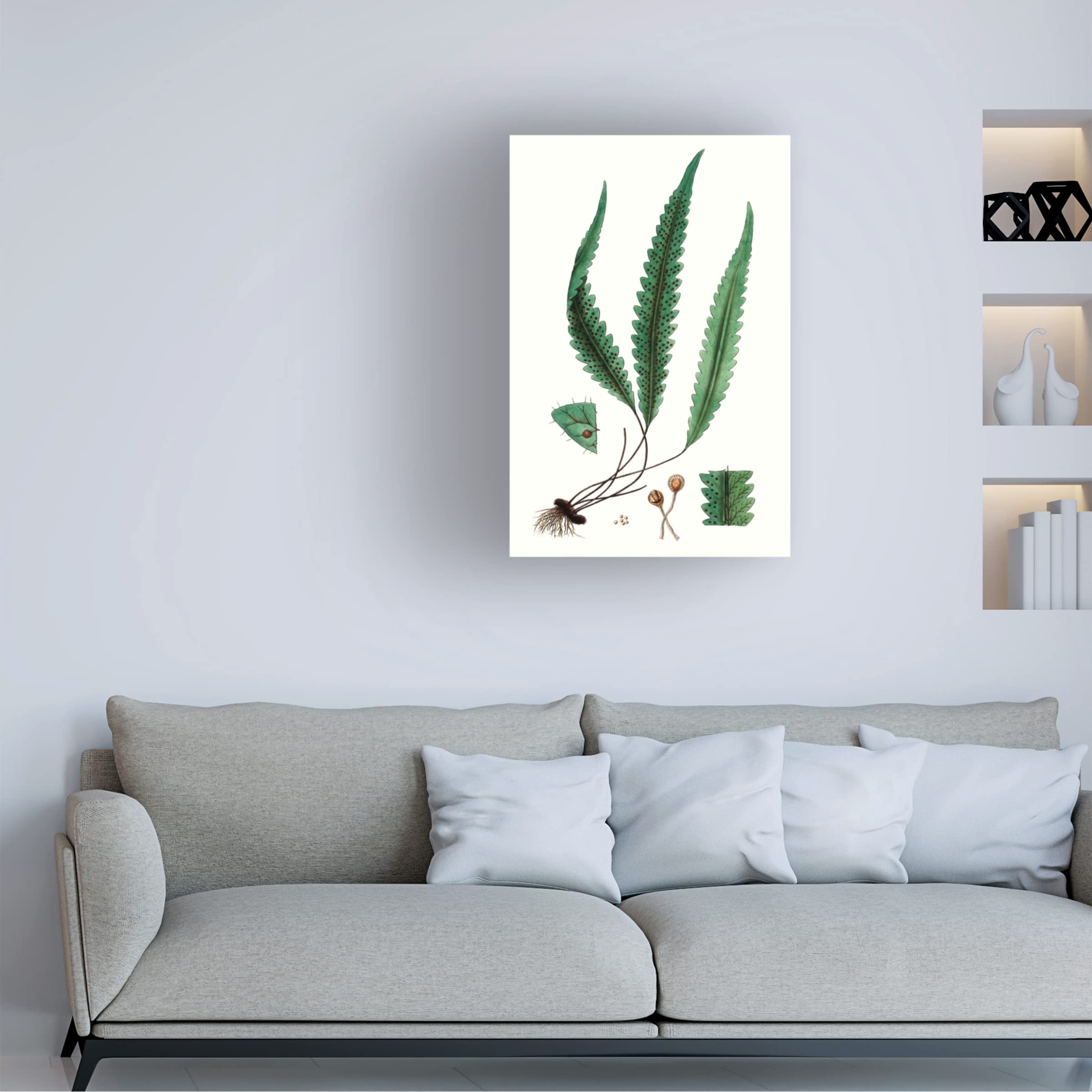 Trademark Fine Art 'Fern Foliage V' Canvas Wall Art Print by Vision Studio - Nature Inspired Botanical Decor for Living Room, Bedroom & Office