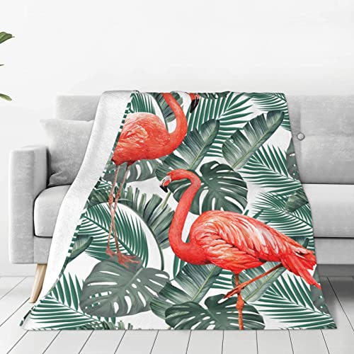 Pink Flamingo Palm