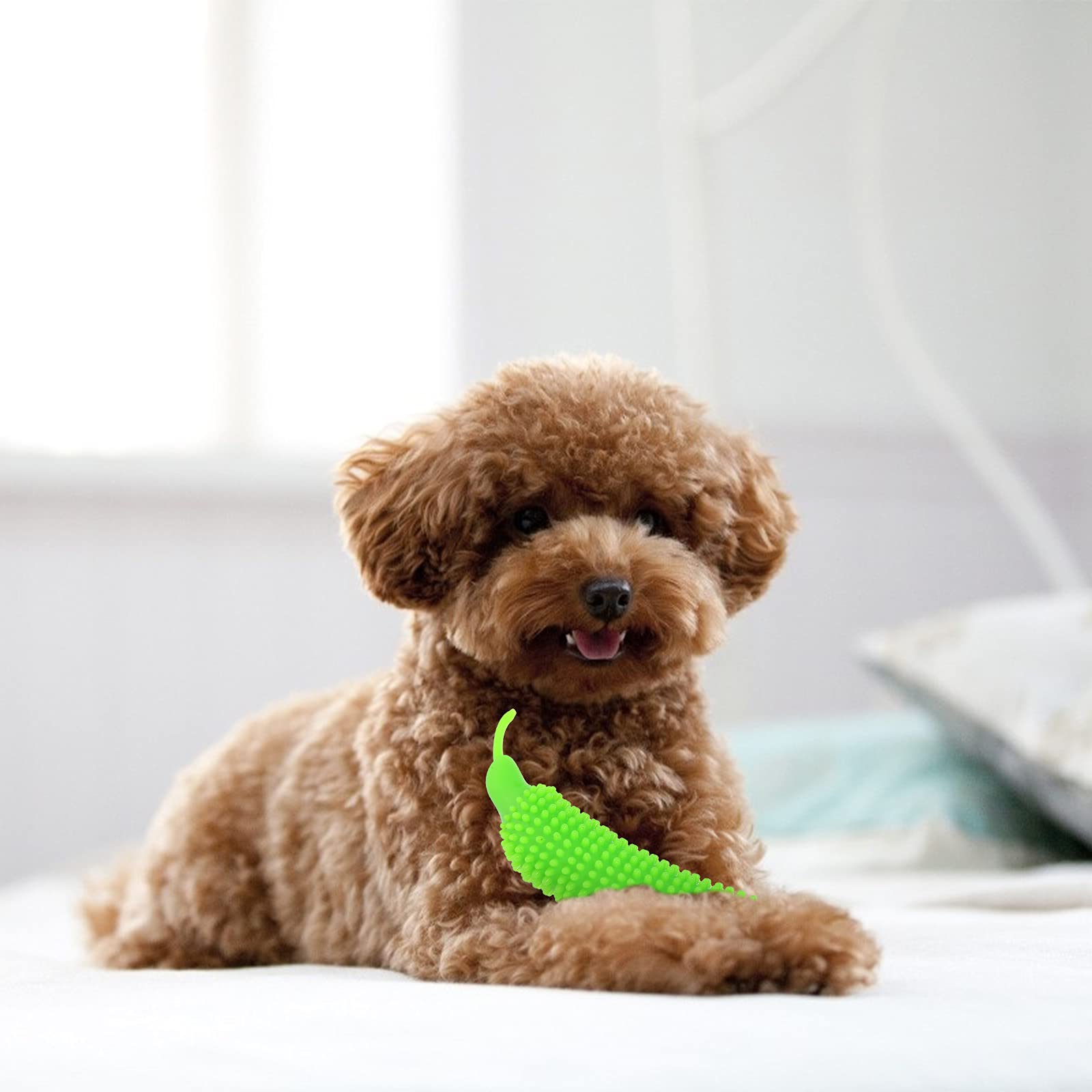 2Pcs Dog Teething Toys for Puppies - Funny Pet Chew Toys for Anxiety Relief & Dental Cleaning - Durable Puppy Supplies for Small & Medium Dogs - Perfect for Training, Playtime & Stress Relief