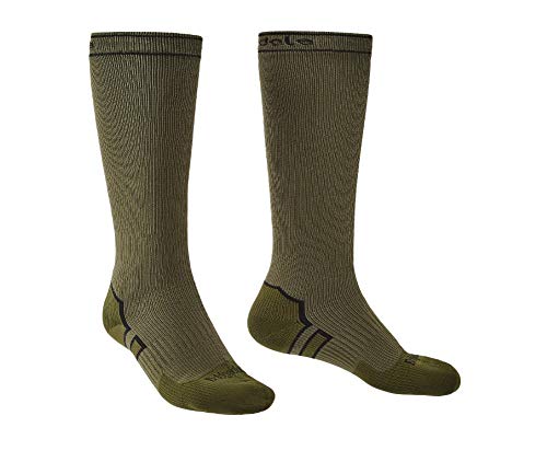Khaki/Olive