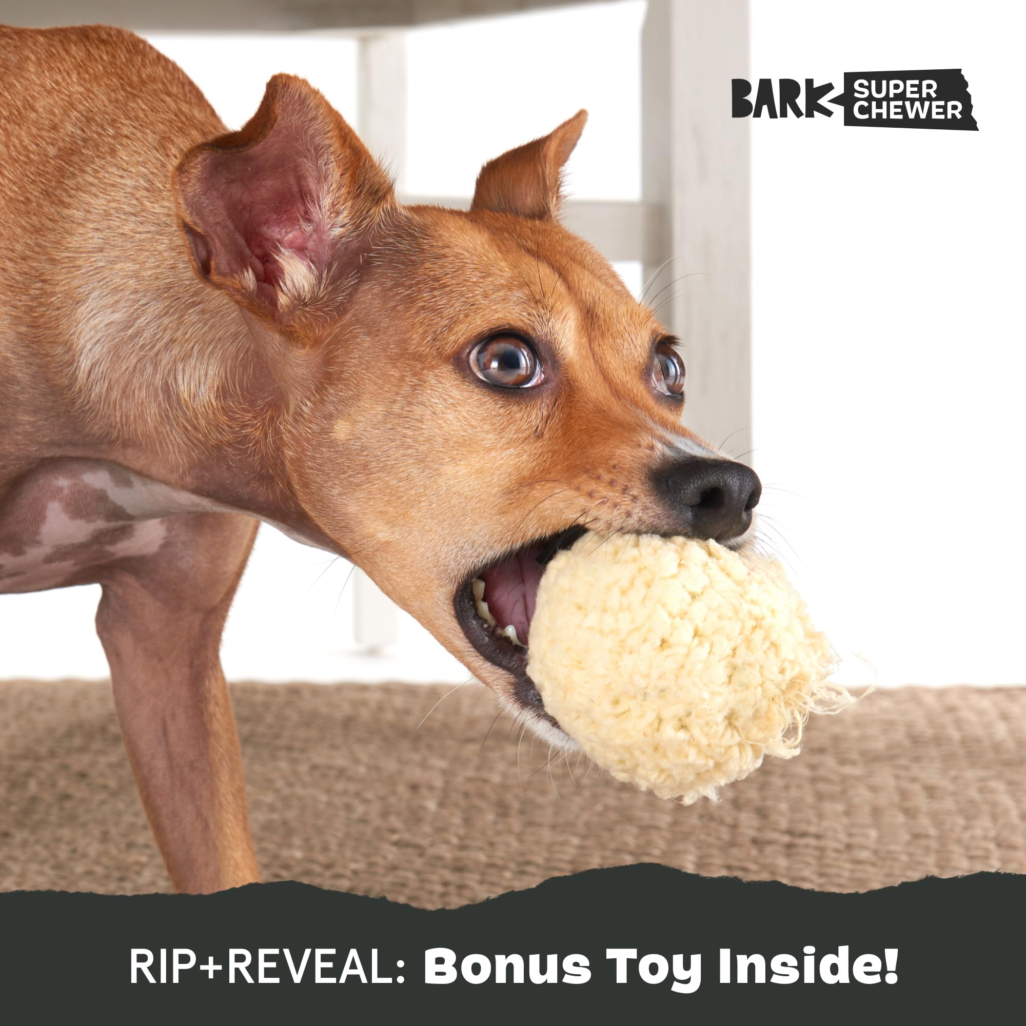 Barkbox Super Chewer Tough Dog Chew Toys for Aggressive Chewers - Durable Plush 2-in-1 Interactive Dog Toy (Potato Design, Small Size) - Perfect for Playtime, Training & Teeth Cleaning