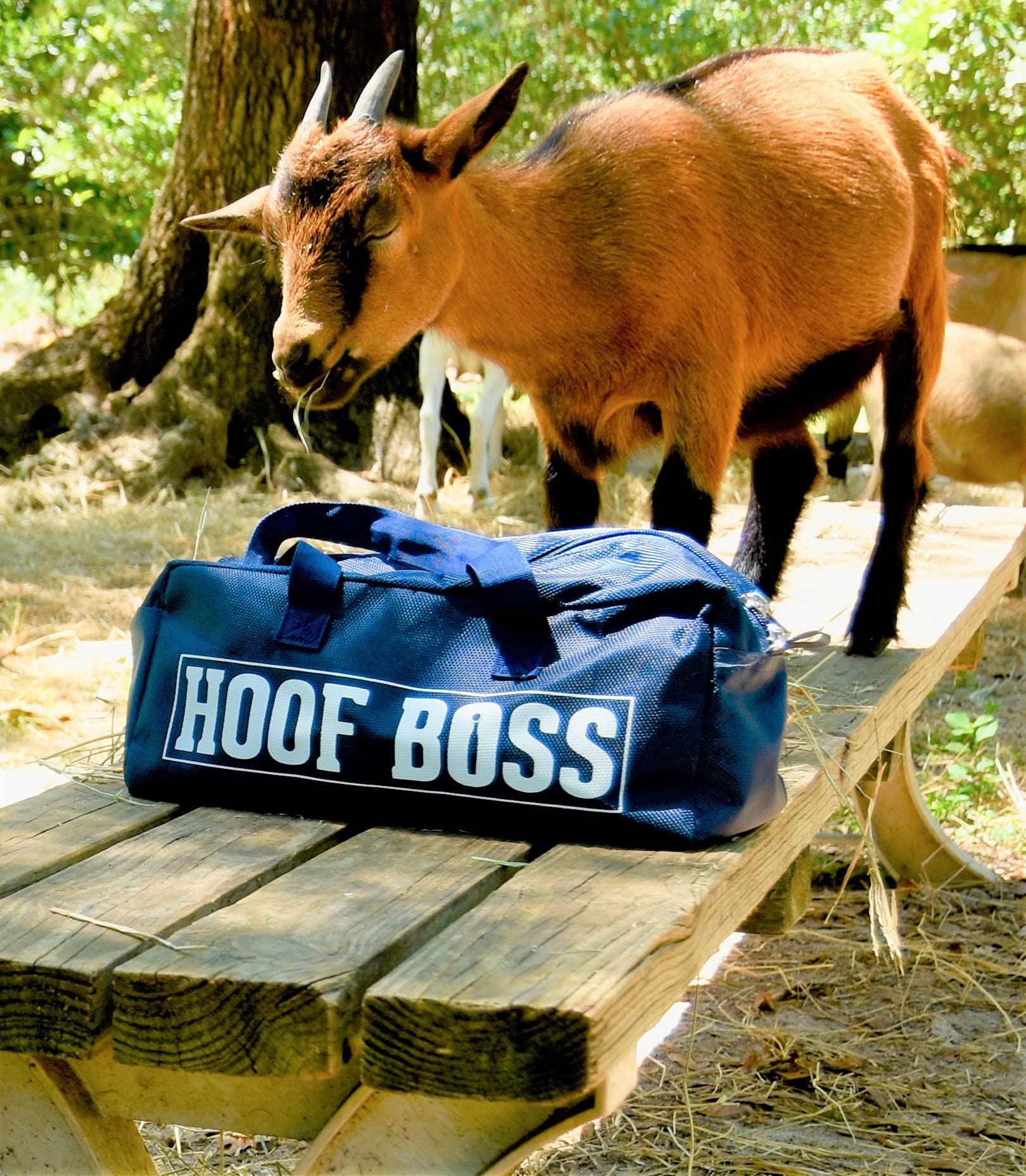 Hoof Boss Electric Goat Hoof Trimmer Kit 110V - Professional Goat Hoof Care Tool with Grinder Discs & Accessories - Perfect for Farm, Ranch & Livestock Hoof Maintenance
